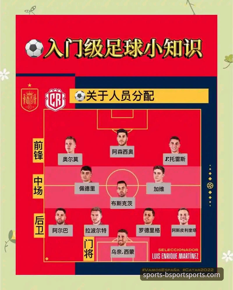 BSport体育怎么用？3步解锁运动新世界的完整指南