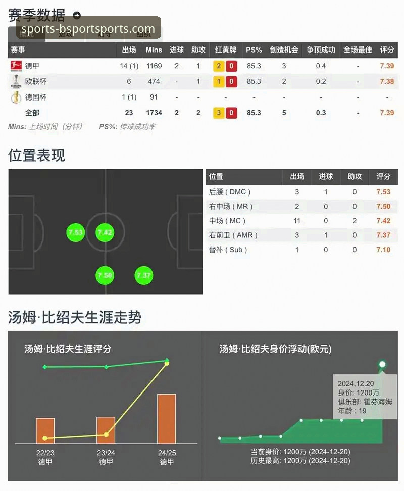 BSport体育平台正规性深度揭秘：一个新手必须知道的评测与真相